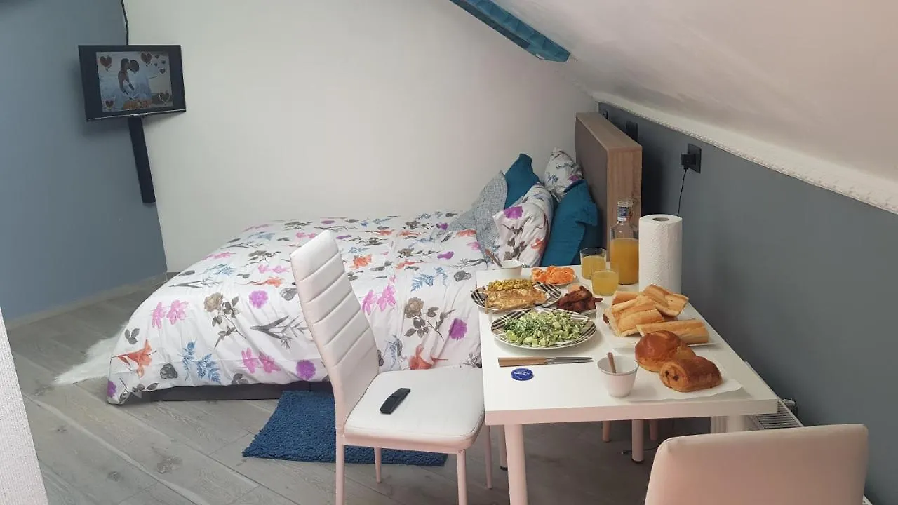 Apartment Ferienwohnung Le Petit Luxembourg Montignies-sur-Sambre Belgien